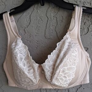 Lace Embellished Bra in Cream